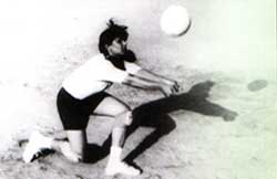 Volley Ball Champion
